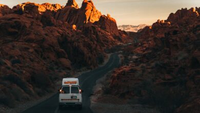 Best Road Trip Vans: How to Pick Camper Van Rentals in the USA
