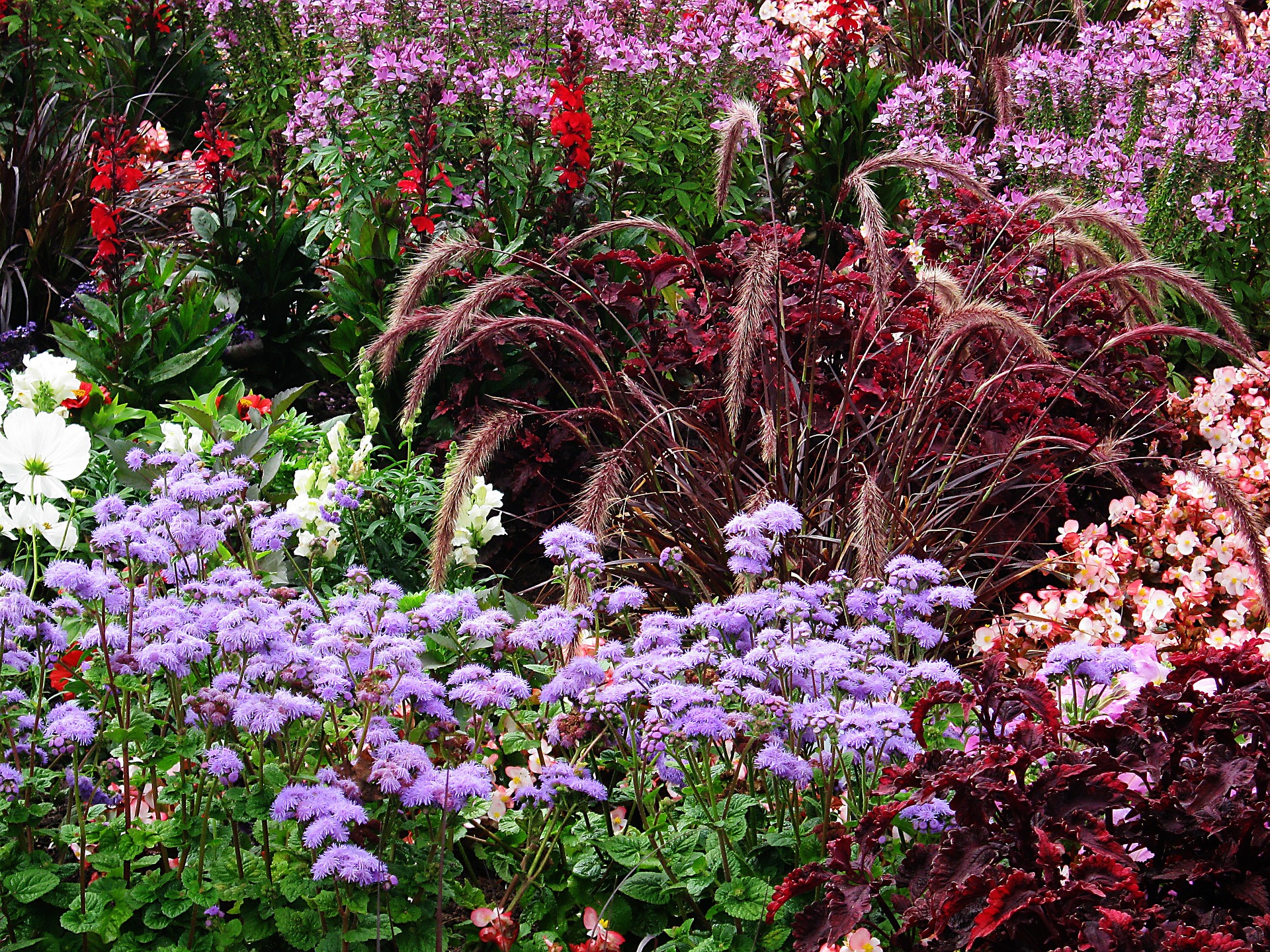 Blumenbeet voller violetter Stauden