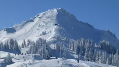 «Bergwelt» am Grünten nach jahrelangem Streit gescheitert. Bild: pixabay/flyupmike