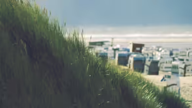 Strandkörbe am Meer. Bild: pixabay/Kranich17