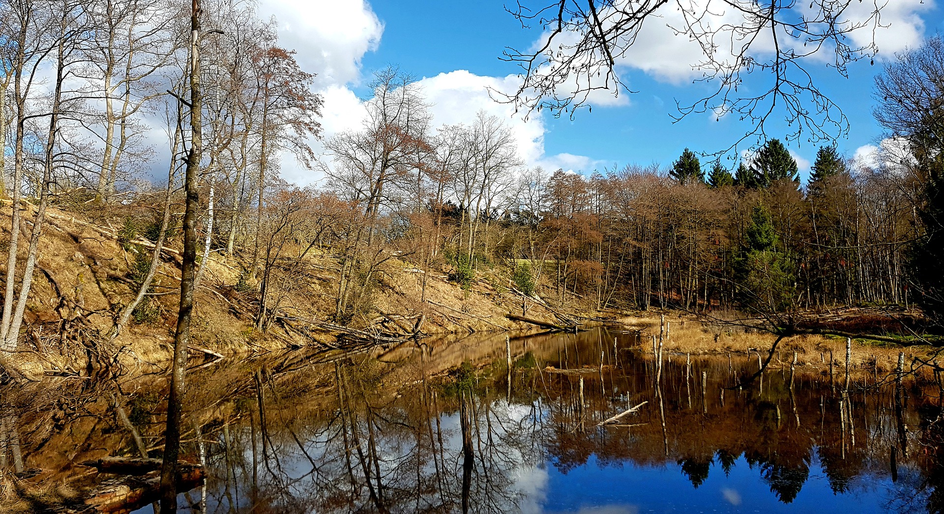 Wilde Flusslandschaft. Bild: pixabay/cocoparisienne