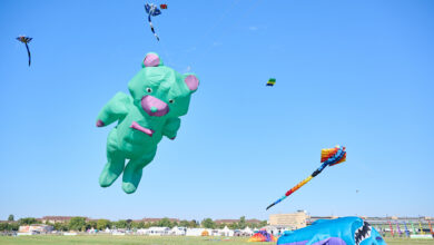 Auf dem Tempelhofer Feld fliegen Drachen beim 10. Festival der Riesendrachen am spätsommerlich blauen Himmel.
