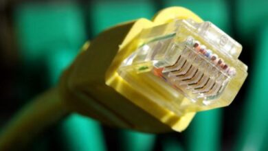 38677988 1373879189jpgcopyrightdpa