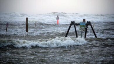 94766649 layjpg 1514229651jpgcopyrightdpa picture alliance