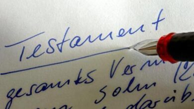 Eu testament 3 dpa 1332408778jpgcopyrightdpa