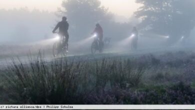 Dpa | philipp schulze