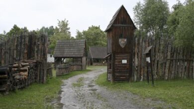 Eol 126034596166 16802jpgcopyright