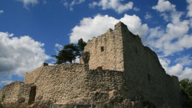 Eol 126138390395 60247jpgcopyrightjuergen herda