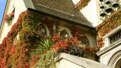 Eol 1263912189201 92645jpgcopyrightjuergen herda