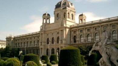 Eol 1268902948333 54803jpgcopyrightstern