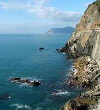 Eol 1268906800333 26086.jpgcopyrightwww.wikipedia