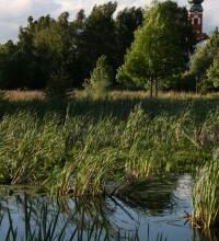 Eol 1274376292373 30310jpgcopyrightjuergen herda