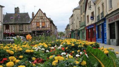 Eol 1279746062546 40681jpgcopyrightshana ziegler