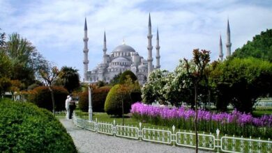 Eol 1288019385 46369jpgcopyrightt moravec