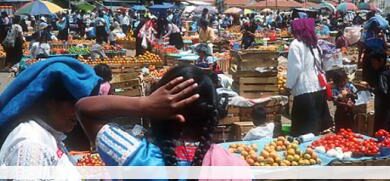 Eol 1298218136 80304jpgcopyrightwikipedia