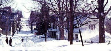 Eol 1298219026 67381jpgcopyrightwikipedia