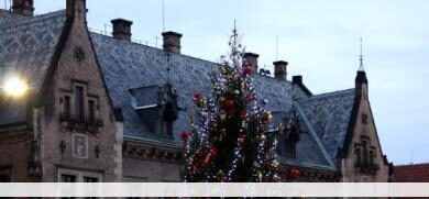 Eol 1324140675 31523jpgcopyrightshana ziegler