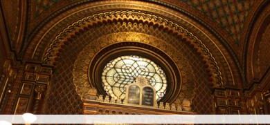 Eol 1325676786 98308jpgcopyrightshana ziegler