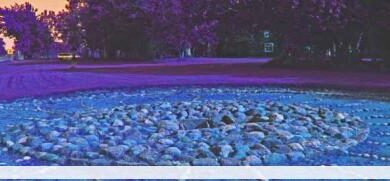 Eol 1344444582 92784jpgcopyrightshana ziegler