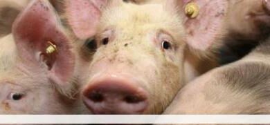 Eol 1421382681 96617jpgcopyrightshana ziegler