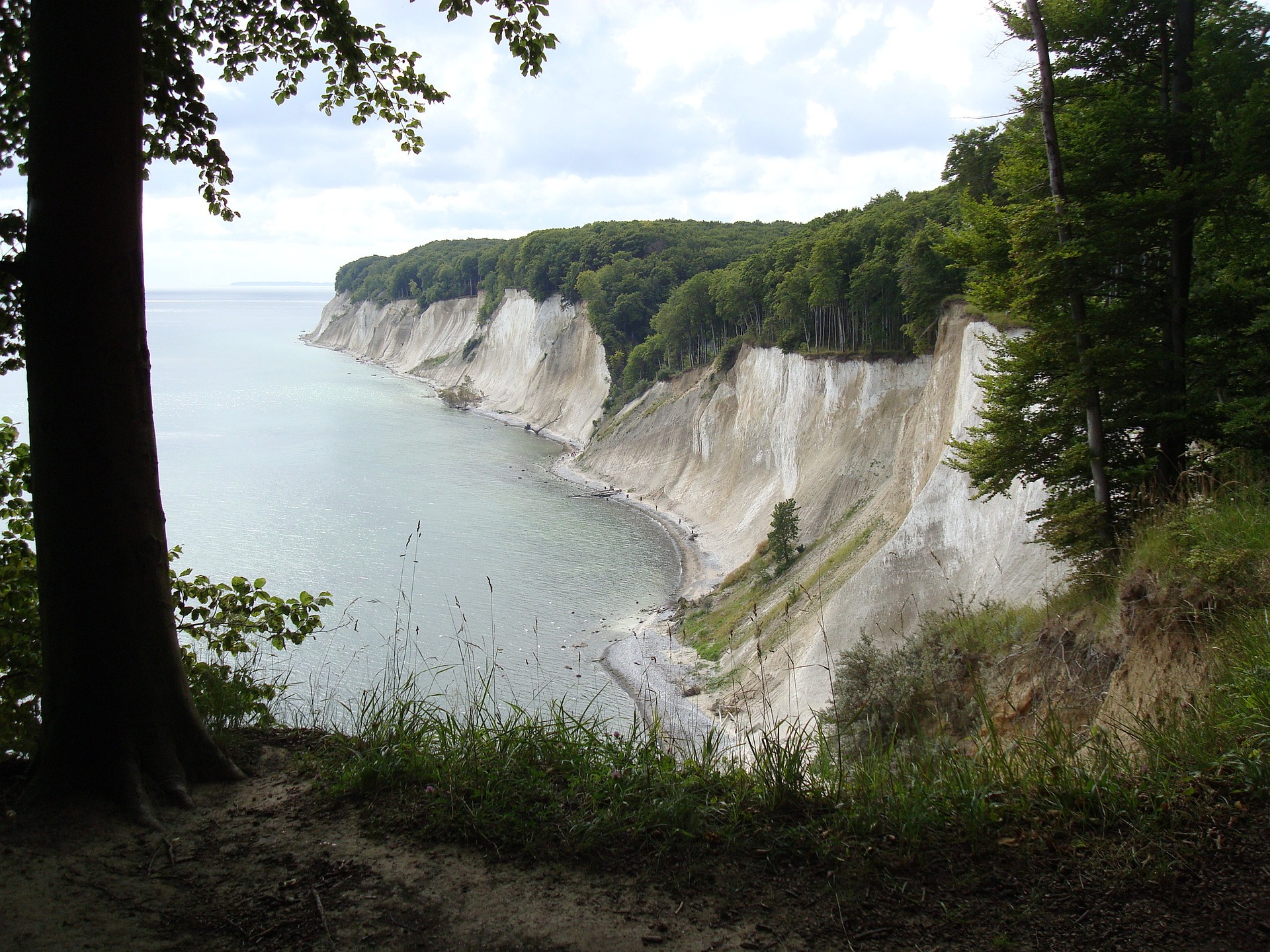 Die Kreidefelsen auf Rügen