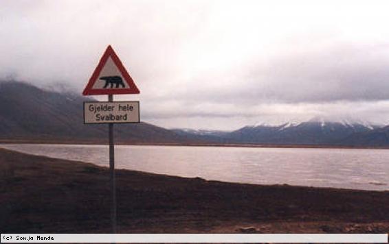 Eisbären-Warnung auf Svalbard`s wenig befahrenen Straßen