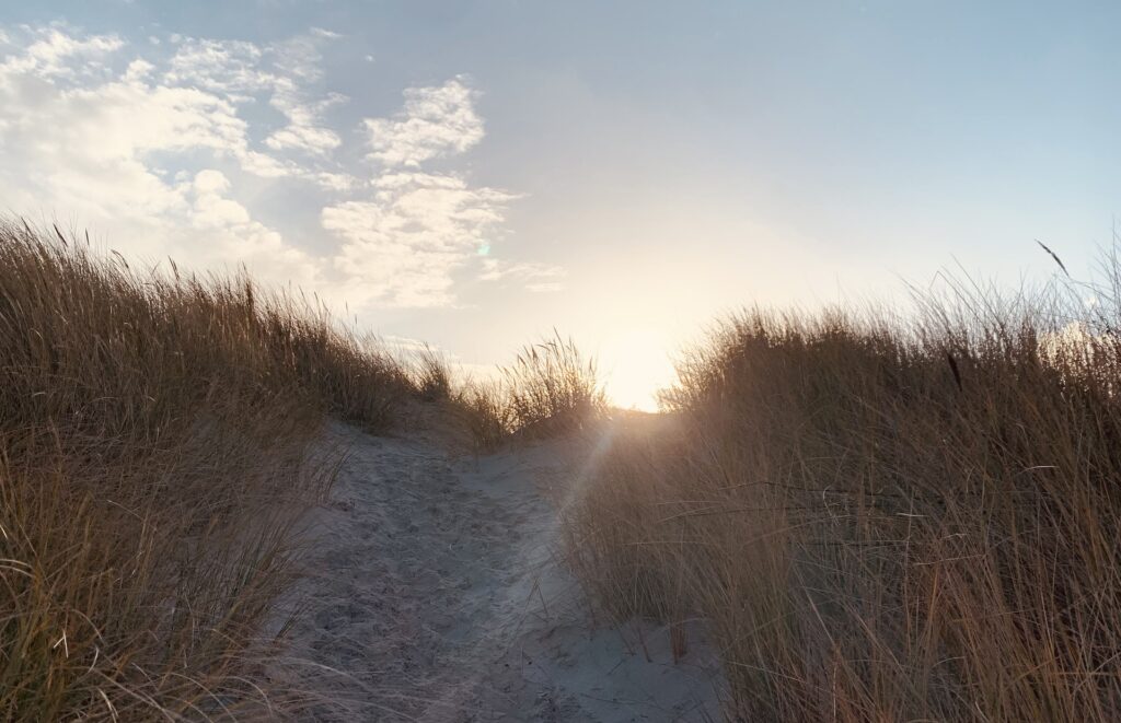 Weg in den Dünen von Wangerooge