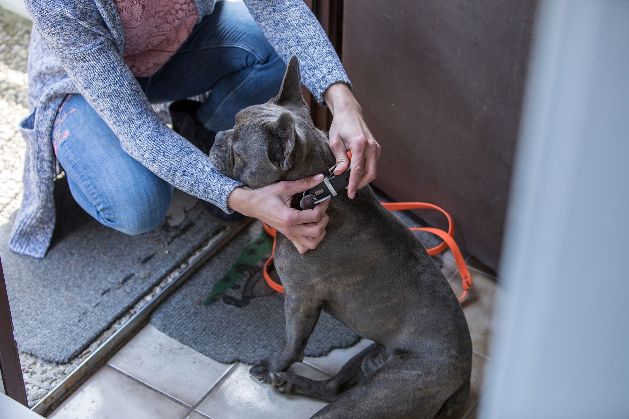 Wurde der Hund gemeinsam während der Partnerschaft angeschafft, können beide Partner nach einer Trennung zurecht den Umgang mit dem Tier verlangen. Das geht aus einem Urteil des Landgerichts Frankenthal hervor.