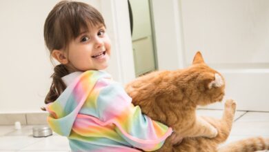 Oft (aber nicht immer!) zeigen Katzen gegenüber Kindern erstaunlich viel Geduld.
