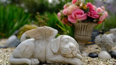 Auf Tierfriedhöfen können Trauernde, die keinen Garten haben, ihre Tiere beisetzen.