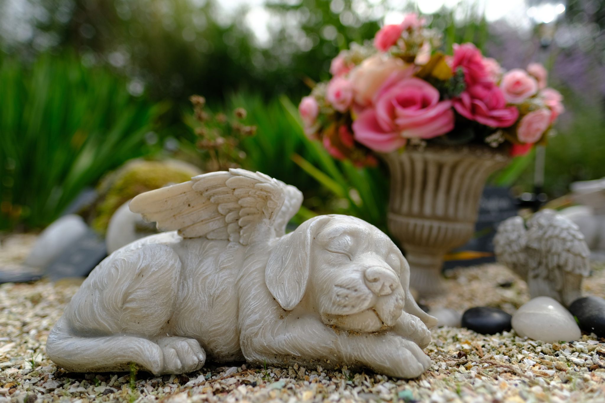 Auf Tierfriedhöfen können Trauernde, die keinen Garten haben, ihre Tiere beisetzen.