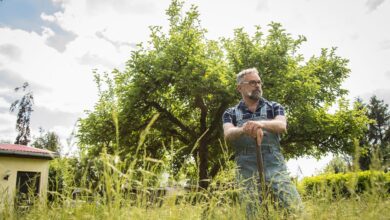 Umgraben muss man den Garten nicht, um herauszufinden, welche Bodenart man «beackert». Wissen sollte man es schon.