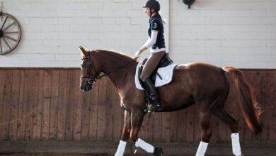 Wer den Sitz auf dem Pferd verbessern möchte, sollte seine Schwachstellen zunächst am Boden bearbeiten.