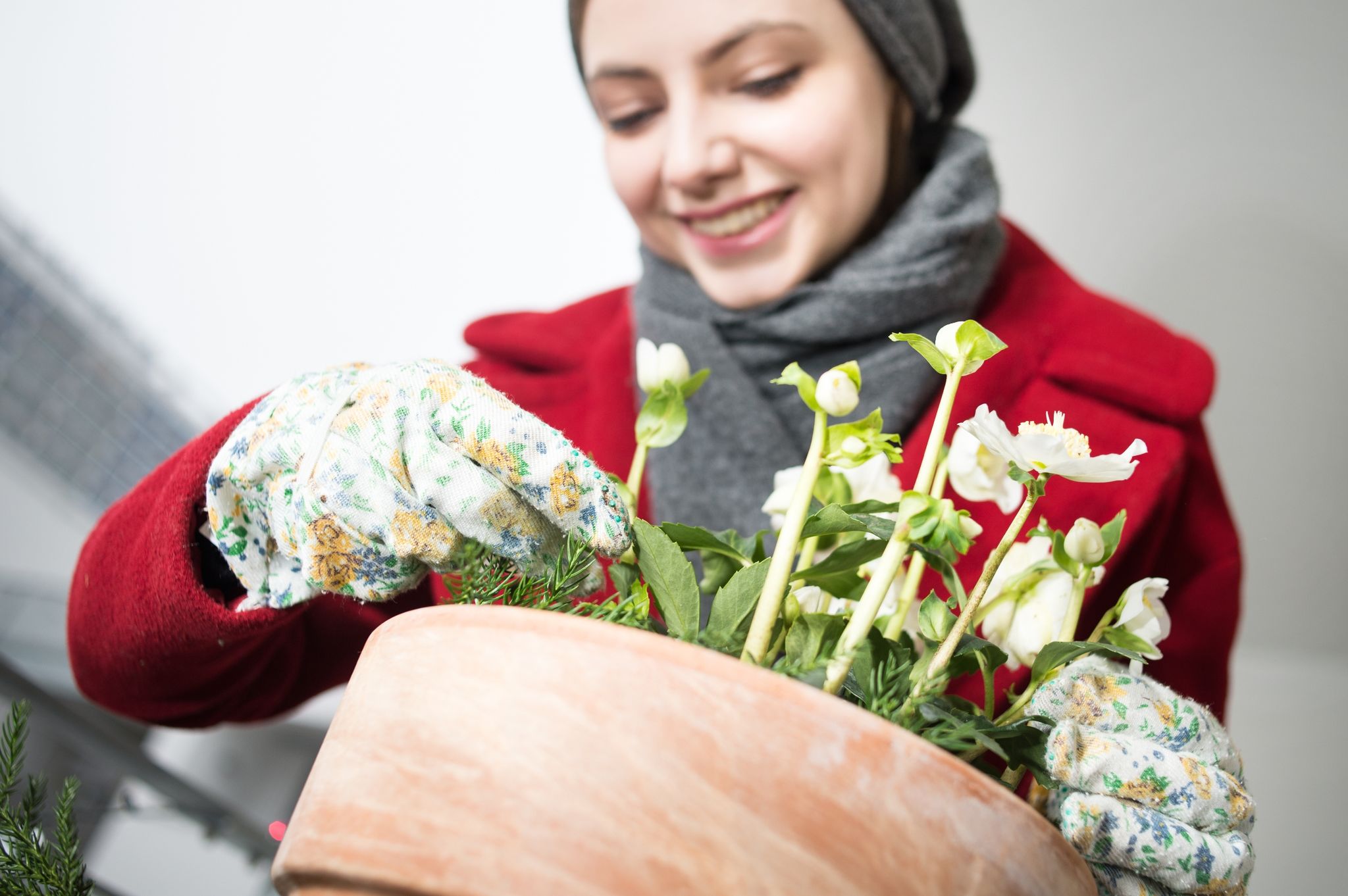 Christrosen sind eine Zierde für den winterlichen Balkon.