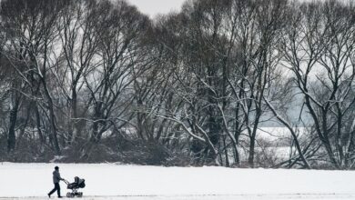 Babys verlieren schneller Wärme als Erwachsene. Beim Winterspaziergang sollten Eltern für die Kleinen einen Zwiebellook aus mehreren dünnen Lagen, die nicht zu eng am Körper anliegen, wählen.