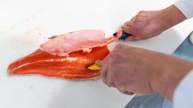Das rötliche Fleisch erinnert an Lachs, aber bei der Lachsforelle handelt es sich um eine Forellenart.