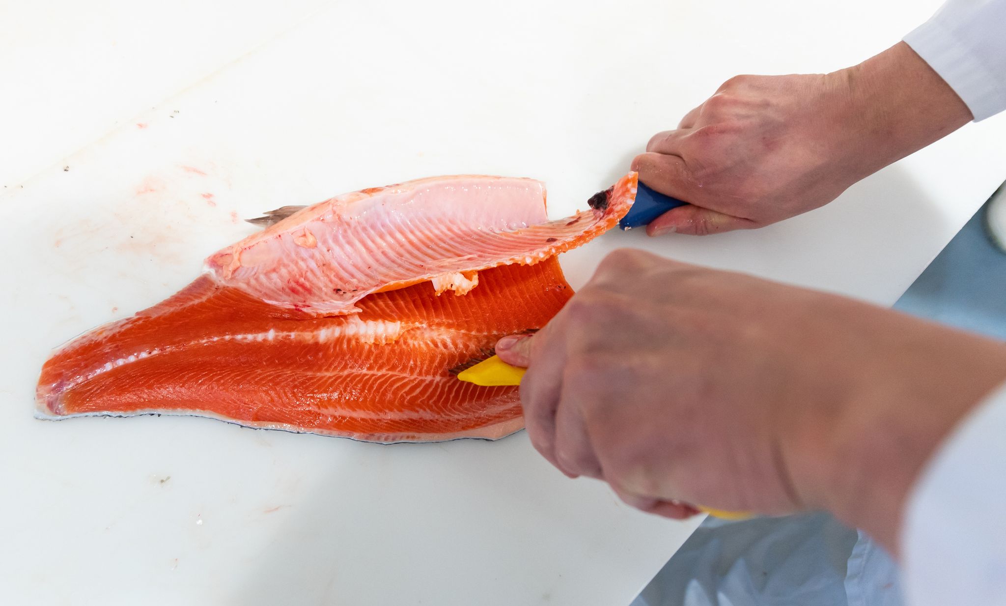 Das rötliche Fleisch erinnert an Lachs, aber bei der Lachsforelle handelt es sich um eine Forellenart.