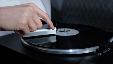 Sauber für unter 10 Euro: «Für die einfache Reinigung sind Carbonbürsten die beste Wahl», rät Hi-Fi-Experte Herbert Bisges.