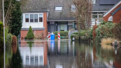 Nach anhaltendem Dauerregen und Hochwasser sind schnelle Maßnahmen gefragt.