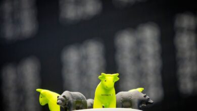 Nachhaltigkeit und Geldanlage passt durchaus zusammen. Verbraucherinnen und Verbraucher sollten aber genau hinschauen, wo sie ihr Geld investieren.