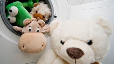 Kuscheltiere sollten nur in der Waschmaschine gereinigt werden, wenn der Hersteller das auch empfiehlt.