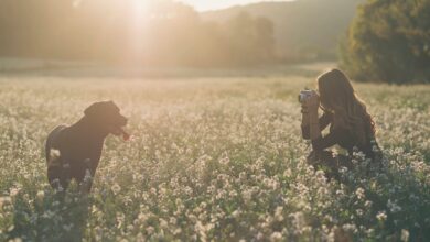 Tier-Fotografen begeben sich am Besten auf Augenhöhe mit dem Model.
