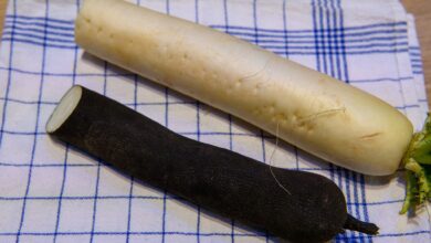 Ein Schwarzer Rettich liegt neben seinem weißen Bruder. Doch nicht nur die Farbe unterscheidet beide. Der Winterrettich hat ein festeres weißes Fleisch.