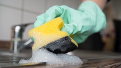 Eins für vieles: Spülmittel eignet sich nicht nur für Geschirr, sondern auch für Küchenoberflächen, Fenster und Spiegel.