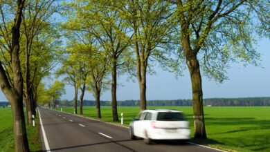 Auf dem Land kann das Mietwagenangebot begrenzt sein - und die Kosten vergleichsweise hoch.