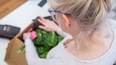 Alles eingepackt: Bei einer Betriebsstilllegung können auch Beschäftigte in Elternzeit unter Vorlage einer entsprechenden Genehmigung gekündigt werden.