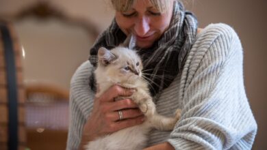 Vom Schmusen mit dem Liebling haben Katzenbesitzerinnen oft noch länger etwas: in Form von Tierhaaren auf den Klamotten.