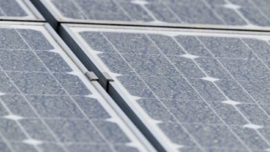 Im Frühjahr lohnt sich ein Blick aufs Dach: Hauseigentümer sollten ihre Solaranlage auf Verschmutzungen oder Schäden prüfen.