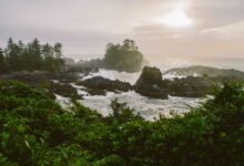 Regenwald bei Ucluelet: Die Küste von British Columbia ist wild und zerklüftet.