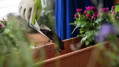 Der Frühling steht vor der Tür und es wird wieder gegärtnert. Handliche Kleingeräte sollten hierbei nicht nur kompakt, sondern auch ausreichend stabil sein.